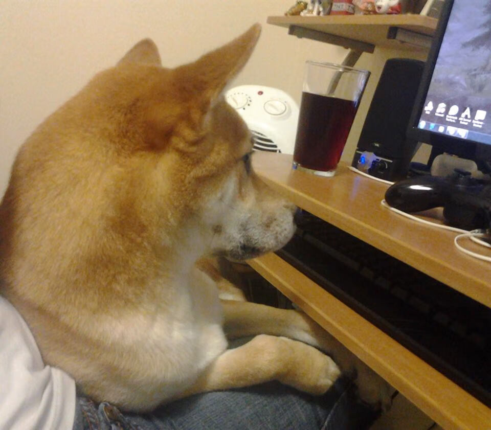 华体会在线登录-青少年定向越野课程设计与实施建议，定向越野课程纲要