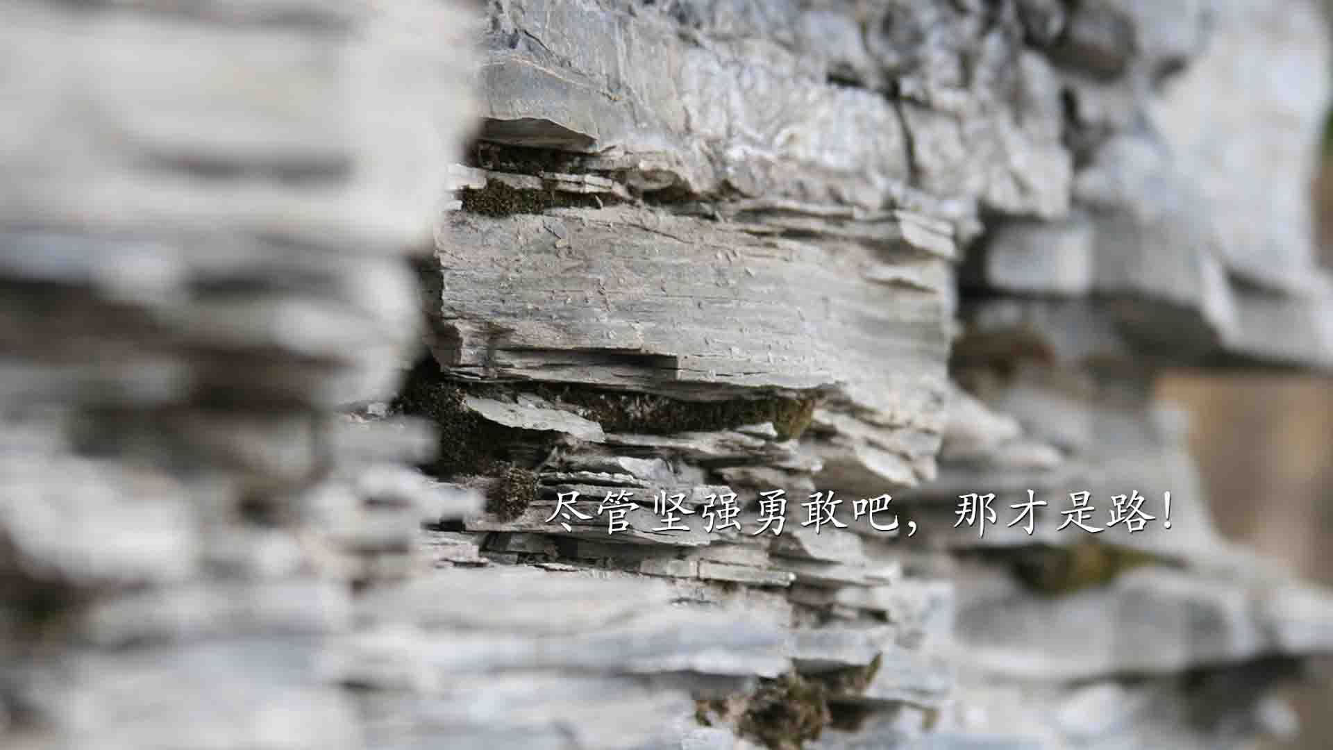 华体会app登入-PSG攻防转换速度需提升以应对顶级对手，攻防转换战术