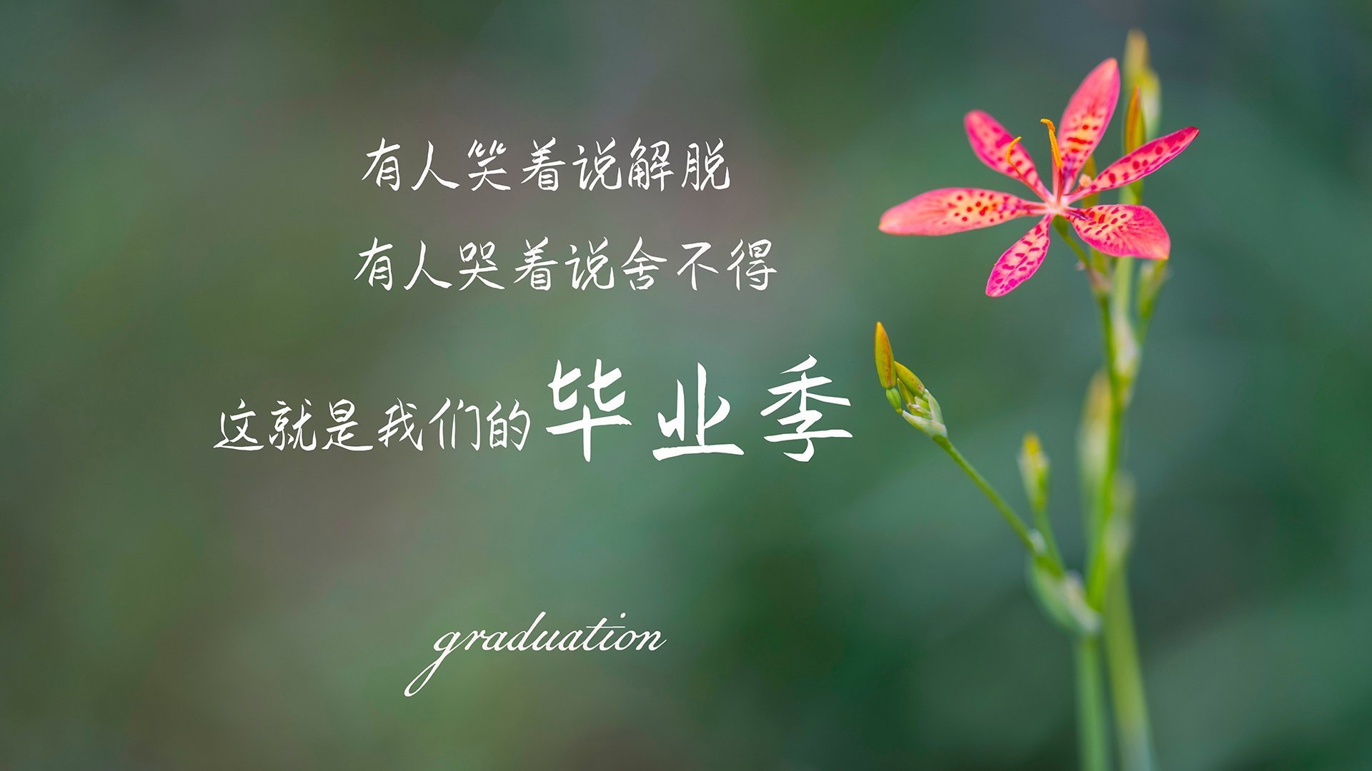 华体会登录-前场三人压迫打出“倒金字塔”结构