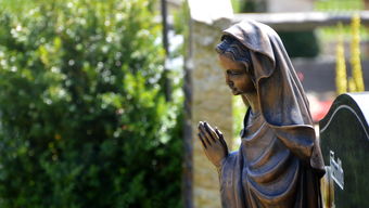 华体会手机在线-女子200蝶划水幅度：中国略占上风，女子200米蝶泳决赛视频保存到相册里