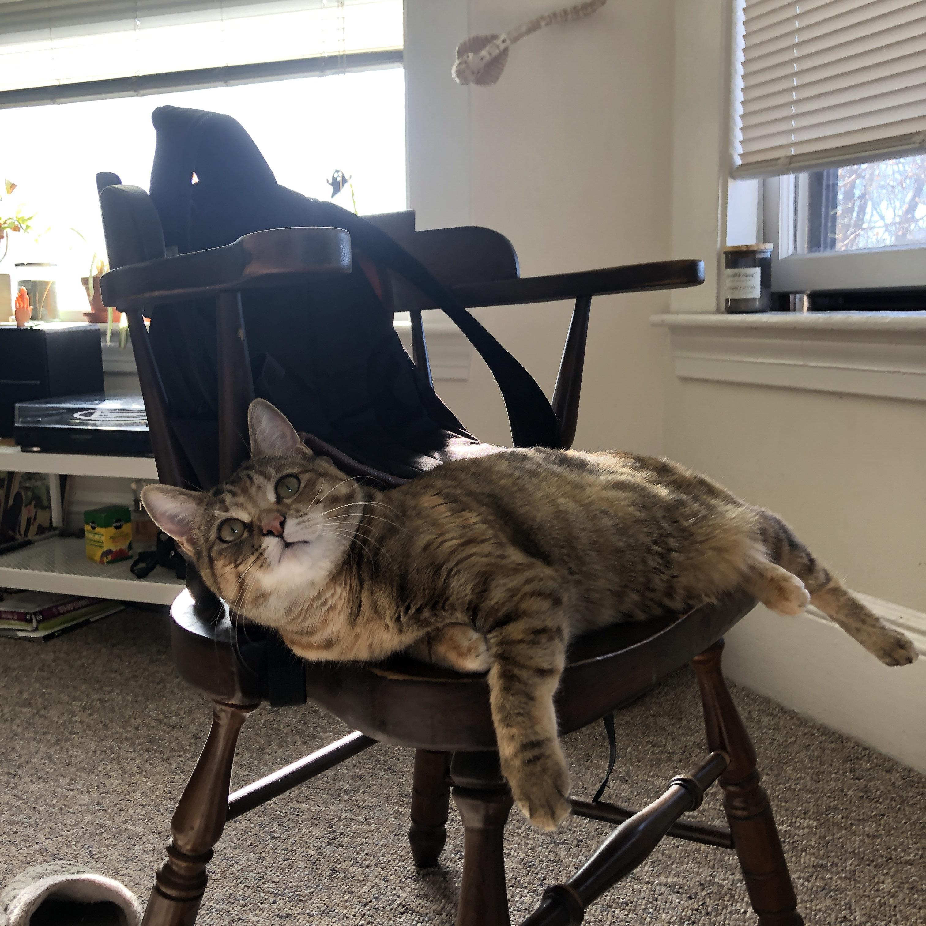 华体会app安装-技术动作稳定性数据分析，技术动作稳定性数据分析报告