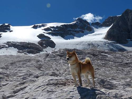 华体会app登入-职业联赛商业权益分配不均引发争议，联赛商业化方案