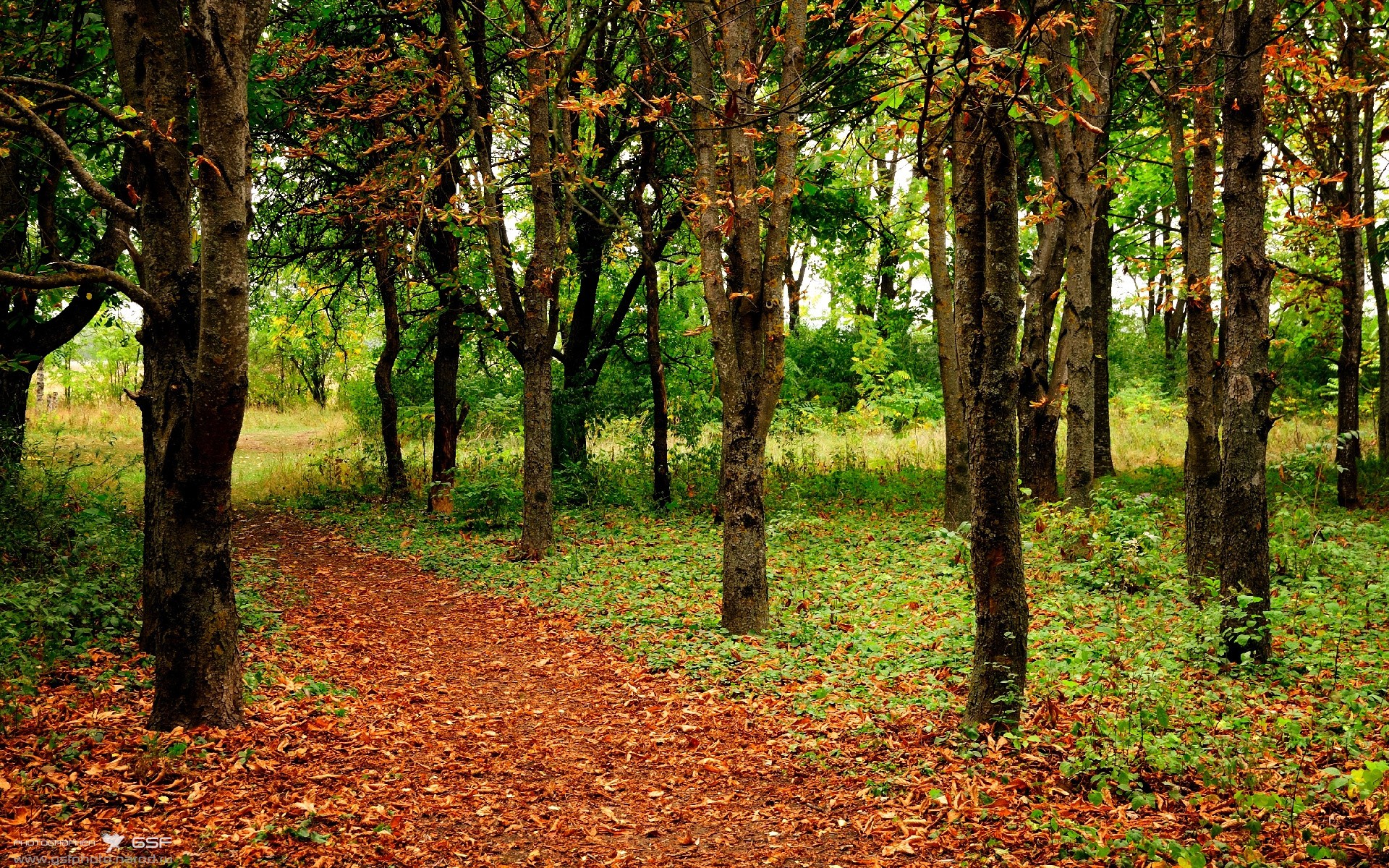 -巴雷特：凭借精准的控制力和长传，成为全黑队最强后场球员，巴雷特阵容