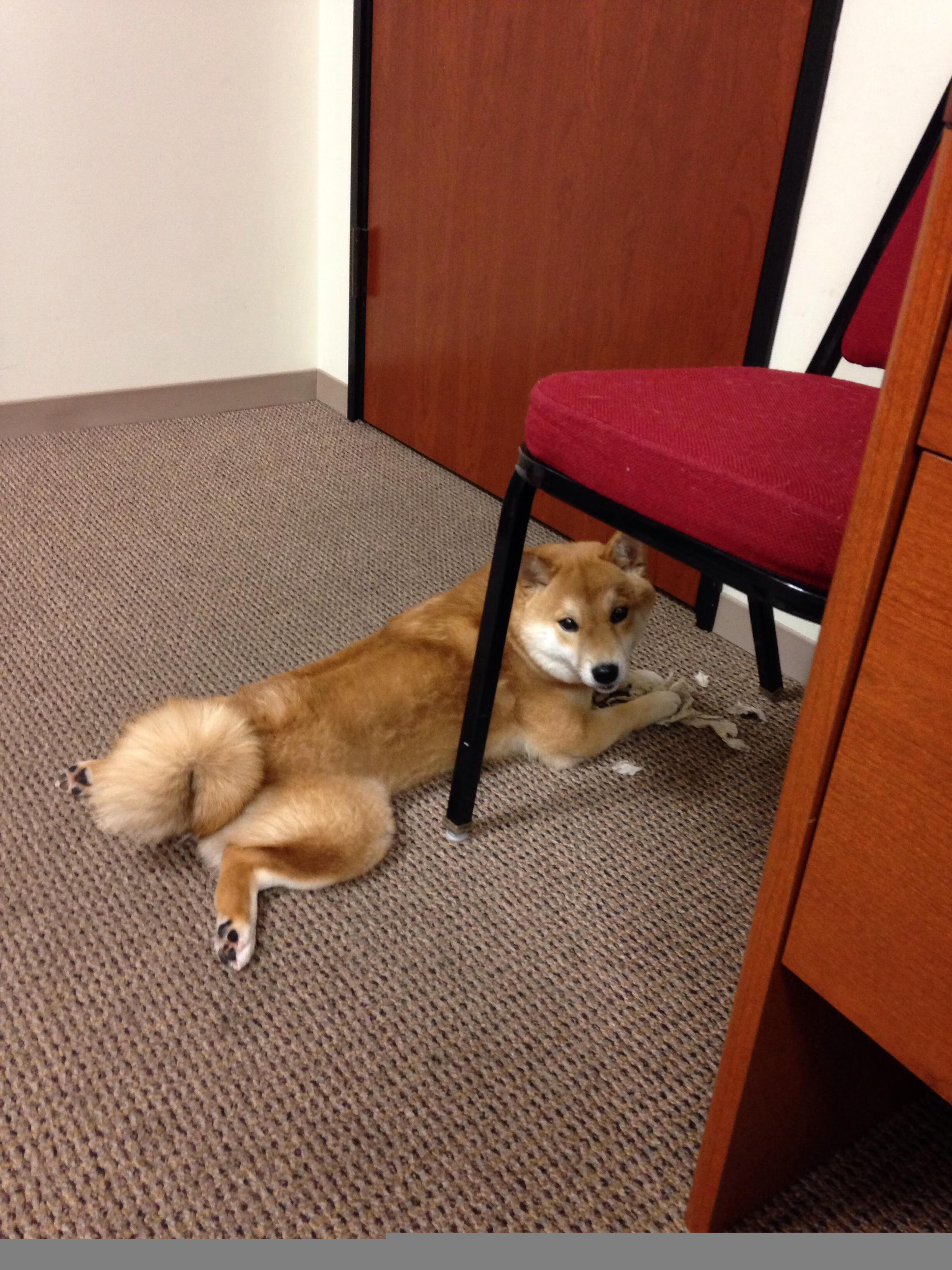 华体会登录入口-广州曾为足球强市如今面临重建与传承考验，广州足球俱乐部官方网站