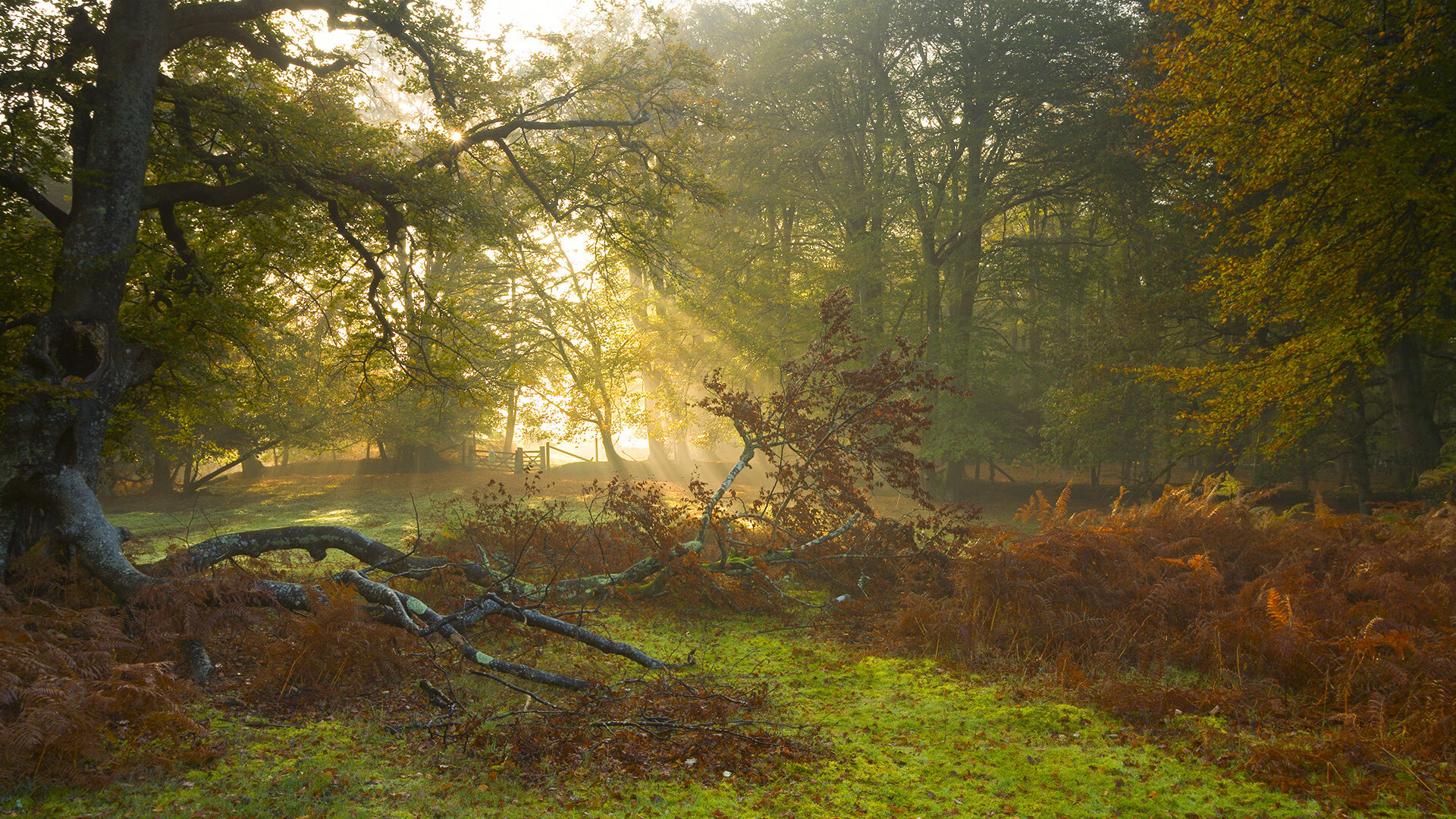 华体会官方网站-数据分析推动技术动作优化，数据分析优化提升工作包括