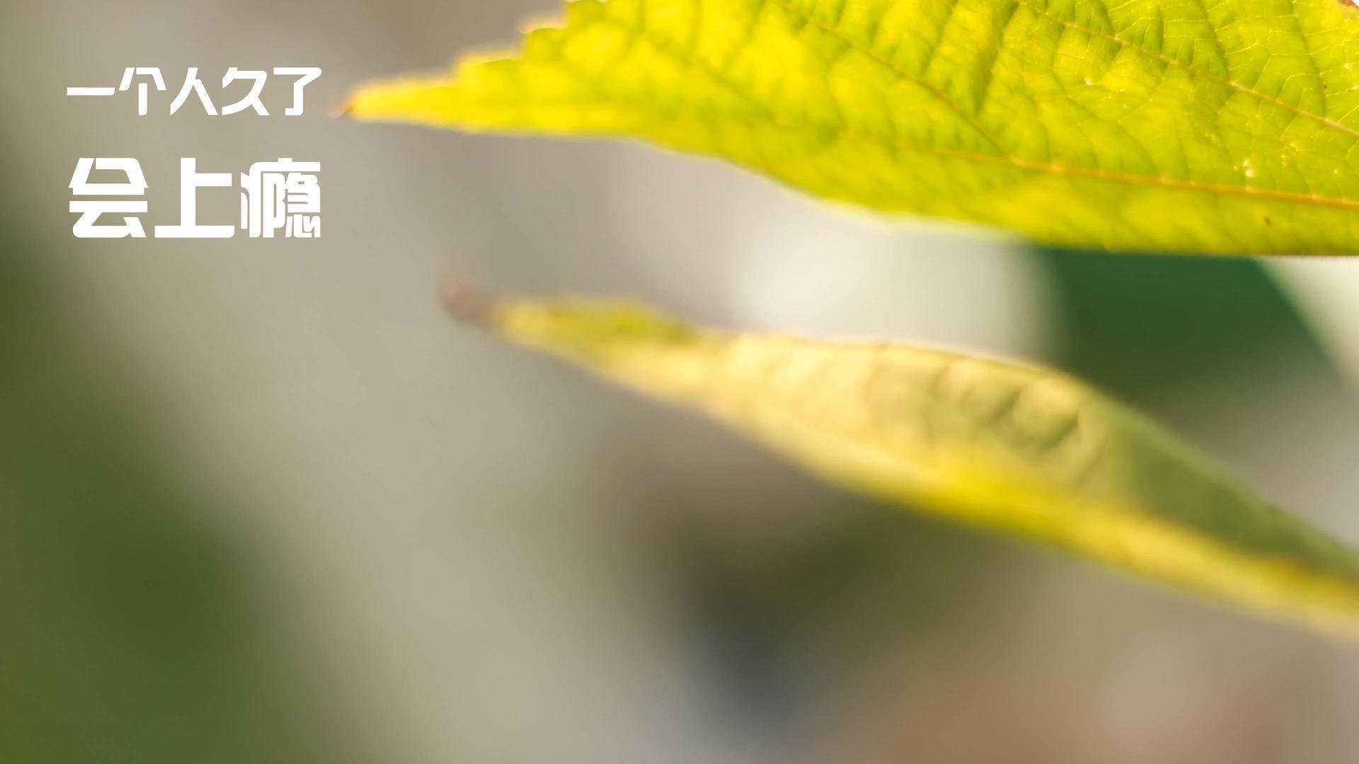 华体会app下载-欧洲杯难忘瞬间:看点满满,泪点也多,欧洲杯太精彩了