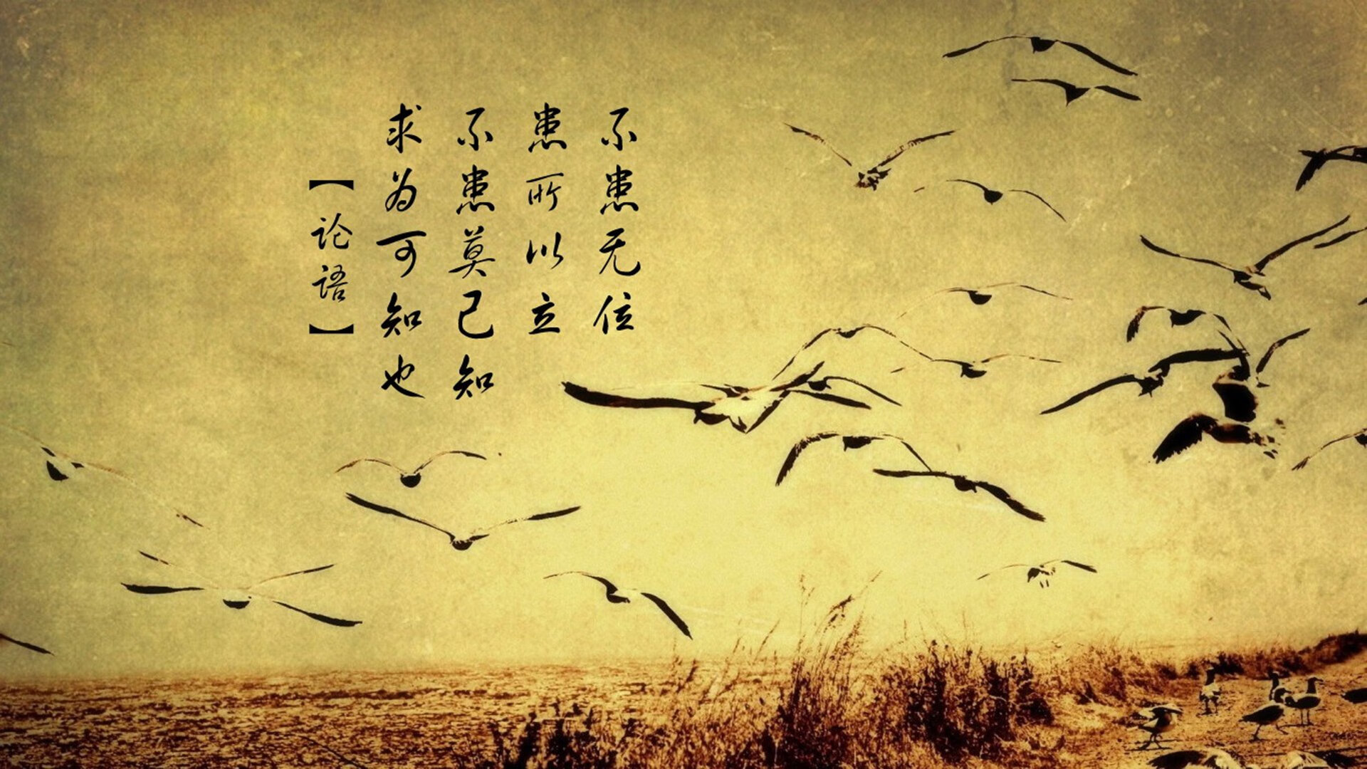 华体会app登入-皇马青训新星涌现,续写球队未来