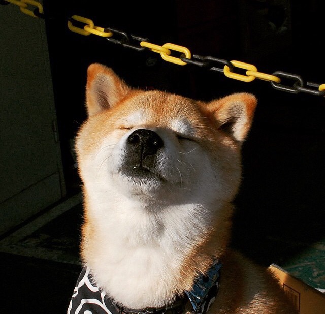 华体会app注册-Nakamura 防守干扰成功率高，篮球防守干扰球