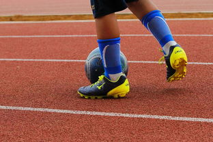 华体会手机网站-专注体育场馆建设新闻内容传播的平台,专业体育场馆